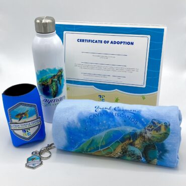 Symbolic Turtle Adoption Gift Set